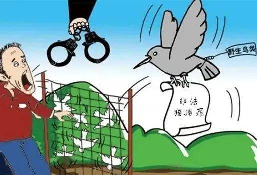 阴阳之变打一动物生肖与警惕虚假宣传-全面释义、详细解答解释落实