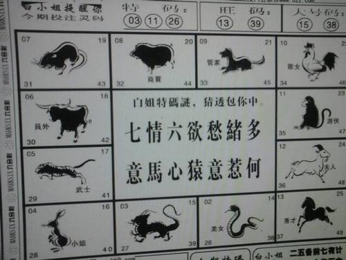 金水土数中一码，透码有一连八数打一正确生肖,警惕虚假宣传-全面释义、解释与落实、深度解答解释落实