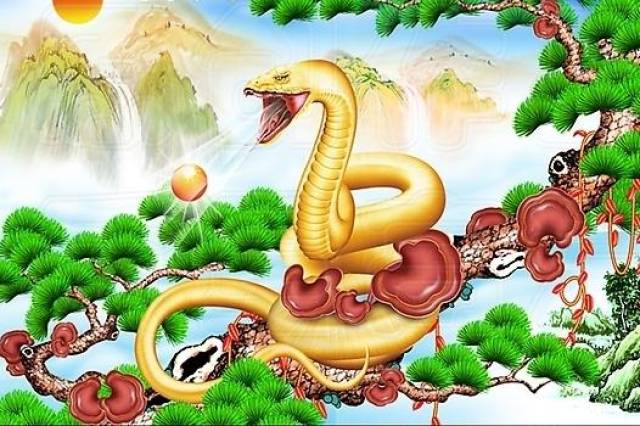 二三看中九抛开八七有当头四丰收龙门福禄寿指一个生肖详细解答、解释与落实、构建解答解释落实