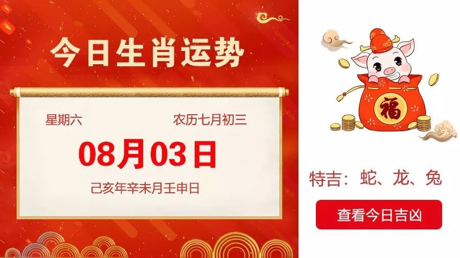 今期生肖三三开,十二生肖最呆萌打生肖的全面释义、解释与落实、综合解答解释落实