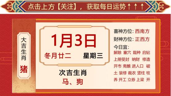 今期生肖三三开,十二生肖最呆萌打生肖的全面释义、解释与落实、综合解答解释落实