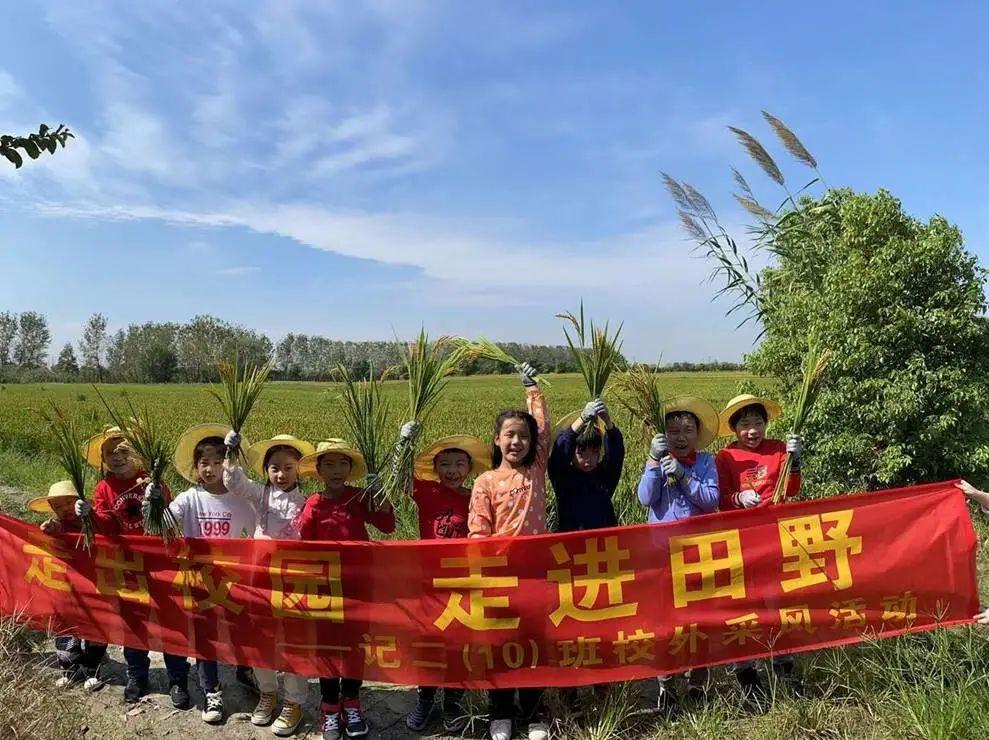 阴阳之变打一动物生肖、警惕虚假宣传-全面释义、构建解答解释落实