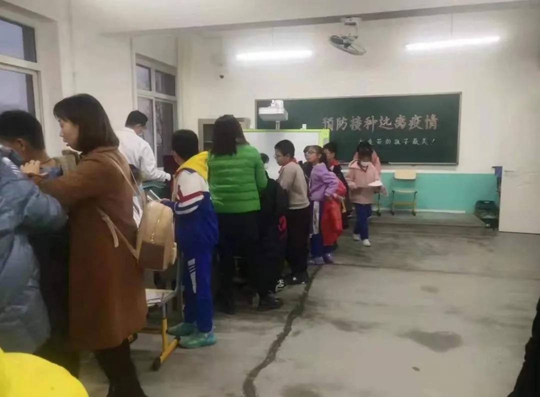 五五追来相帮助，一阴一阳特码出打一准确生肖精选解析、解释与落实、构建解答解释落实