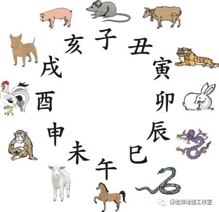 財源廣進你家門，一唱一合走天下打一准确生肖与警惕虚假宣传-全面释义、科学解答解释落实